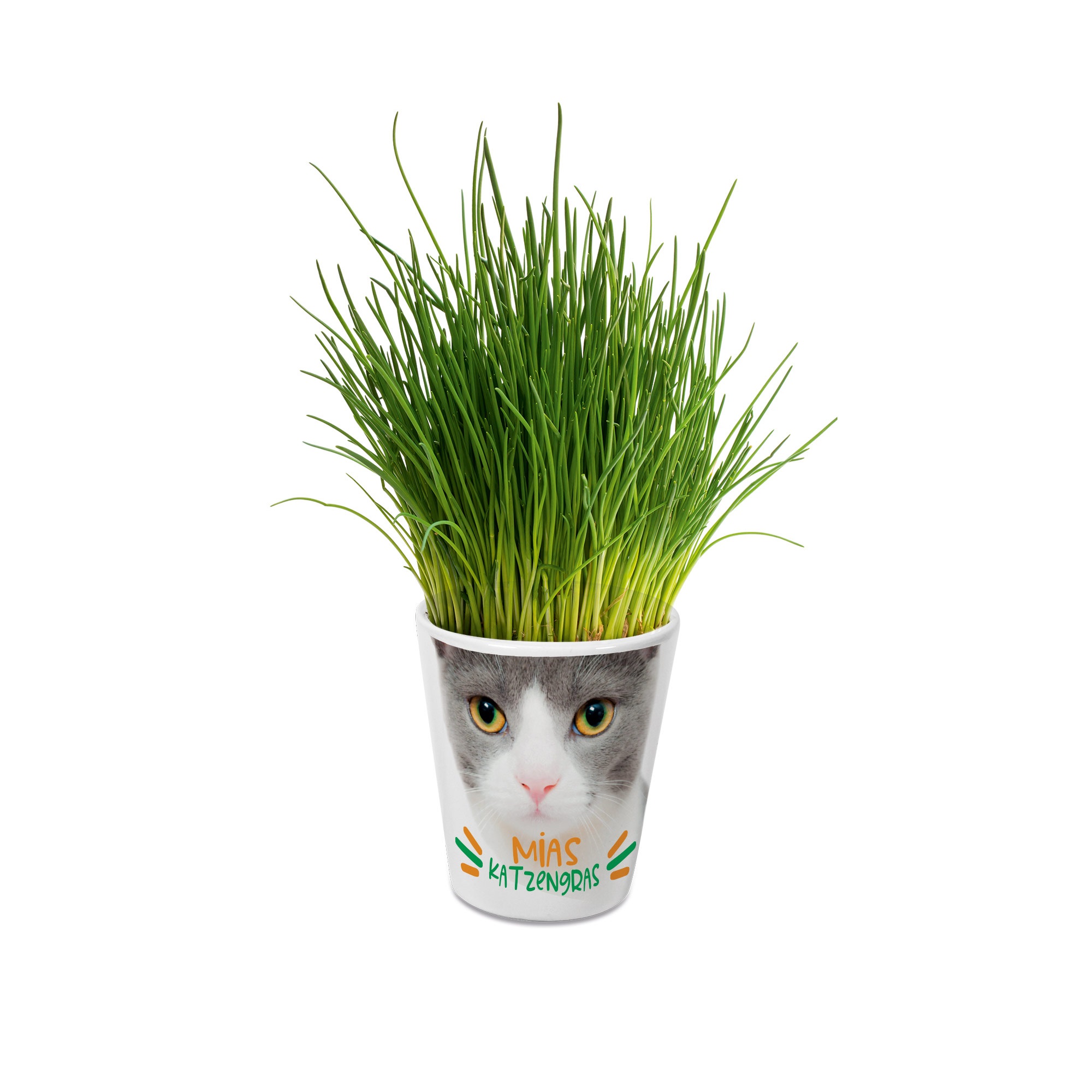 Pot de fleurs conique en céramique, différentes versions