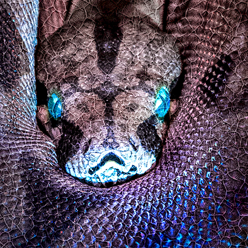 Tableau photo Duraluxe en aluminium avec surface structurée Salt Lake en blanc, diverses tailles