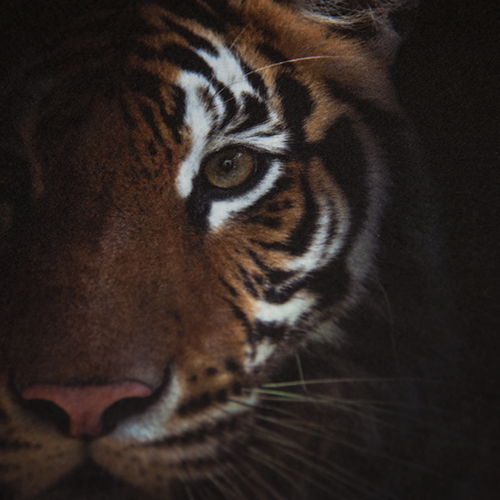 Sublistar® Tapis de voiture, blanc, dessin universel, div. tailles