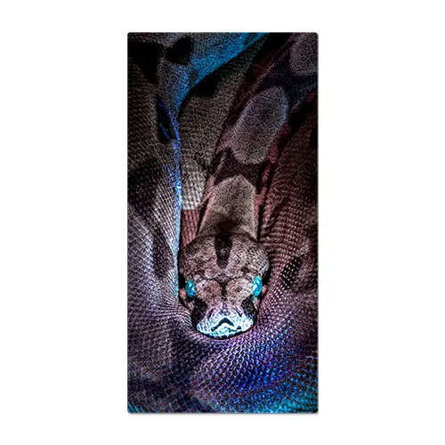 Duraluxe Alu-Fototafel Struktur Salt Lake, weiß, versch. Größen