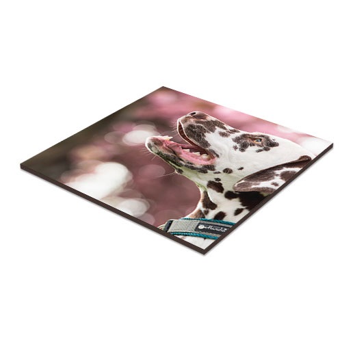 UNISUB Panneau en fibre dure, taille 203 x 203 x 6 mm, couleur blanc brilliant, 26 pcs./carton