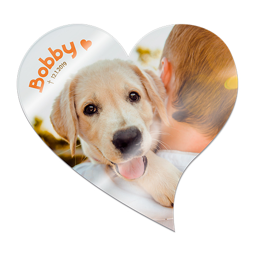 Duraluxe Alu-Fototafel weiß-glänzend, versch. Größen