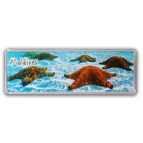 Multiplexx Magnet, versch. Größen Multiplexx Magnet, versch. Größen