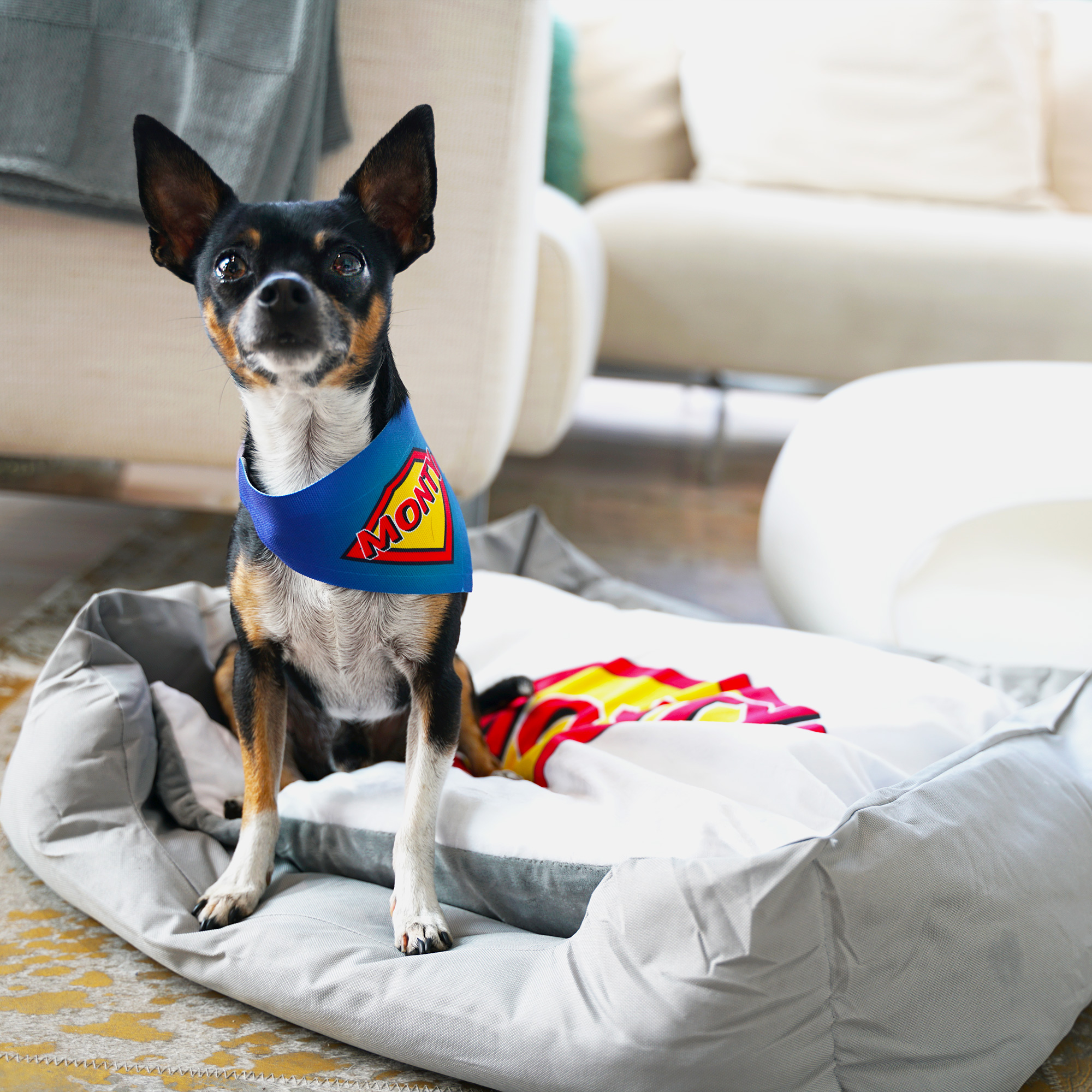 Couchette grise pour animaux avec coussin blanc sublimable, taille 65 x 55 cm, 1 pcs./pack, 15 pcs./carton