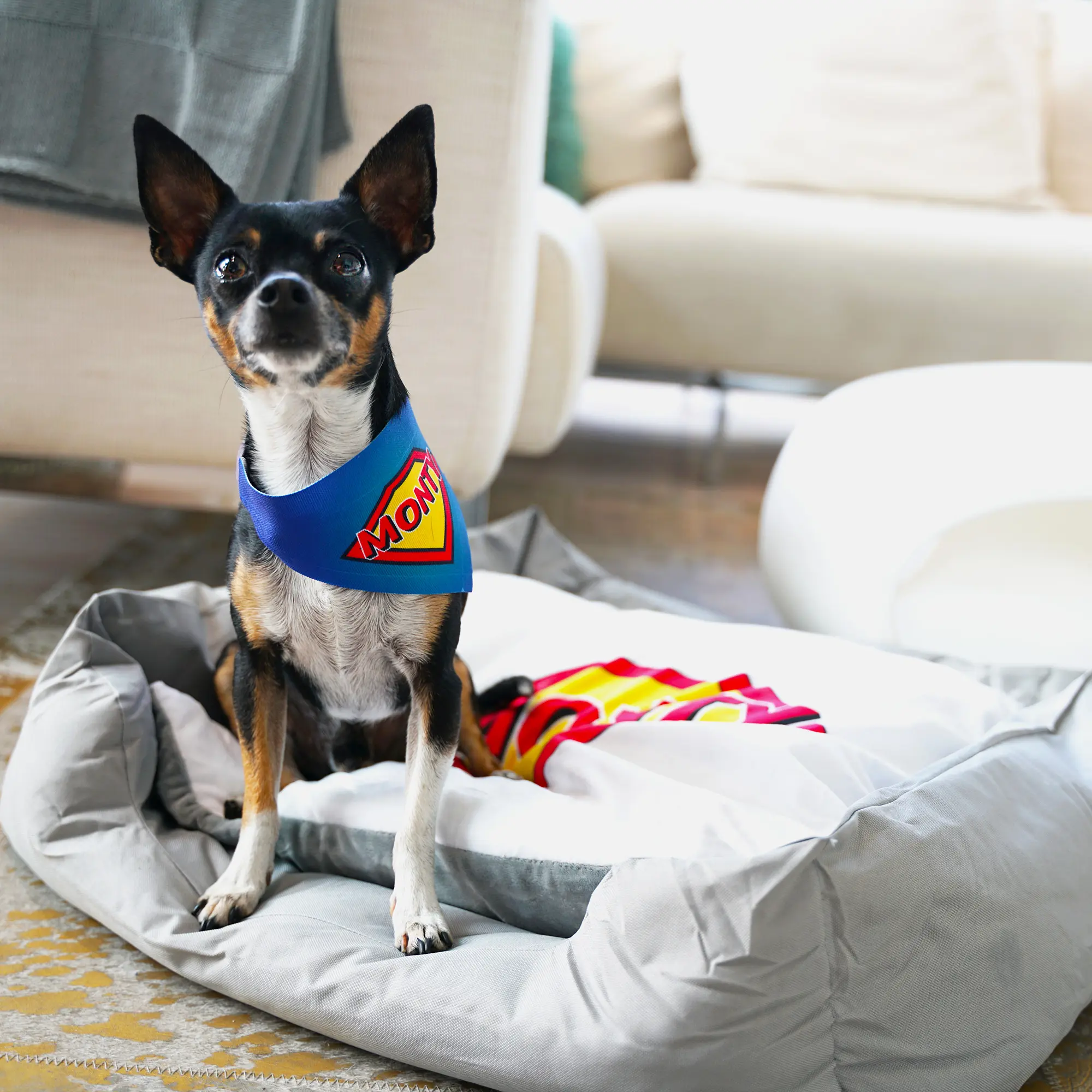 Tierbett grau, mit bedruckbarem Kissen weiß, Größe 65 x 55 cm, 1 St./Pack, 15 St./Karton