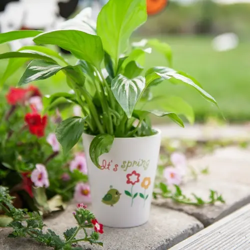 Konischer Blumentopf aus Keramik, versch. Ausführungen