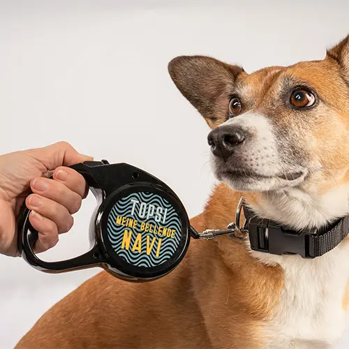 Hundeleine ausziehbar, Leinenlänge 300 cm, mit 2 bedruckbaren weißen Alueinsätzen Ø 68 mm, 50 St./Karton