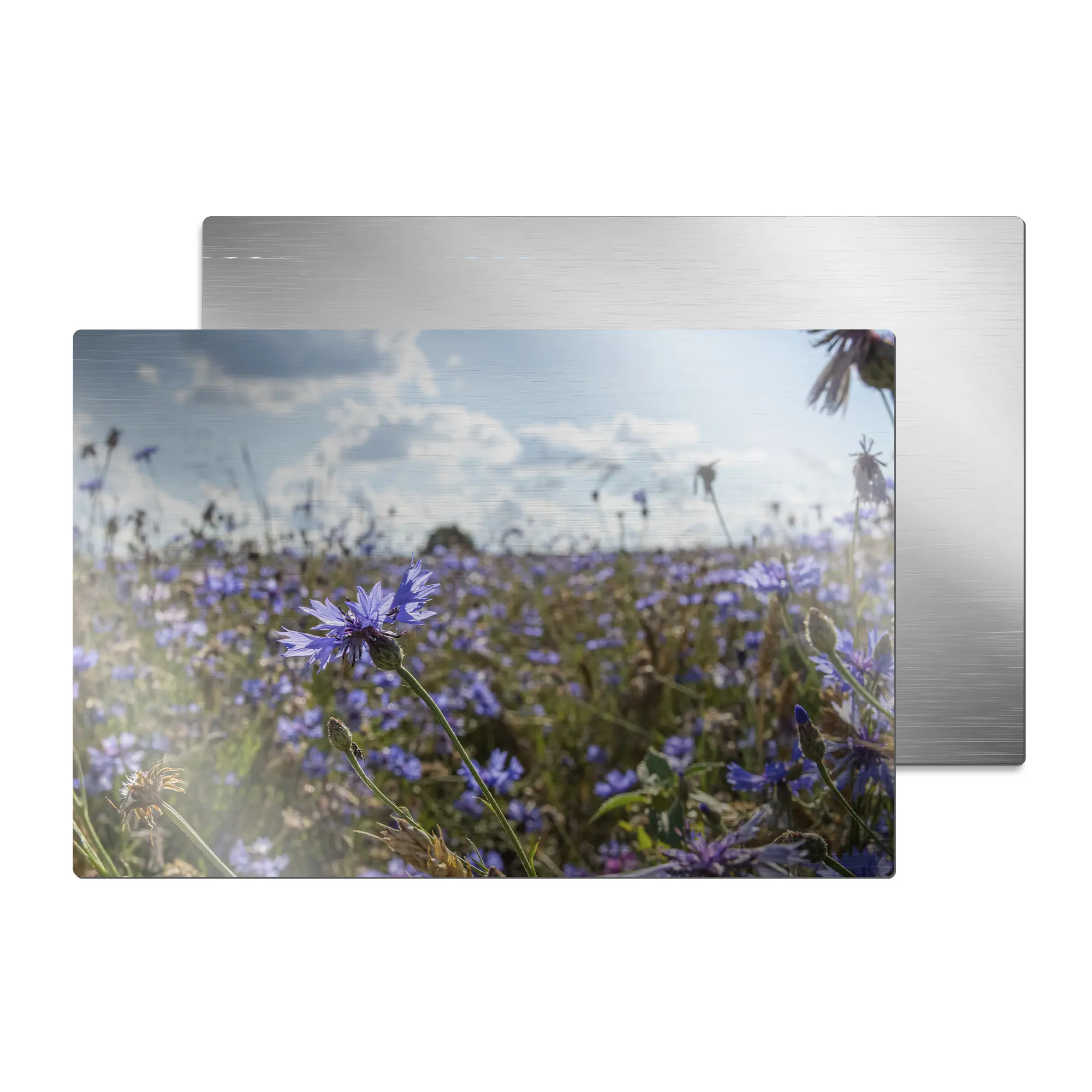 ChromaLuxe Alu-Fototafel silber-gebürstet, 200 x 300 x 1,15 mm, Ecken gerundet