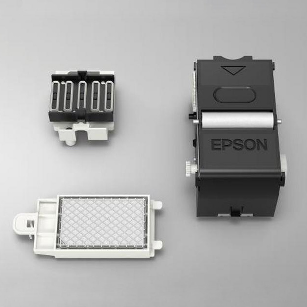 Kopfreinigungsset (Head Cleaning Kit), für Epson SC-F2000/F2100