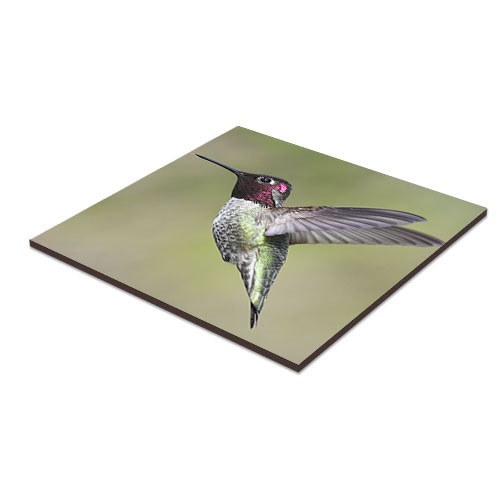 UNISUB Panneau en fibre dure, taille 305 x 305 x 6 mm, couleur blanc brilliant, 26 pcs./carton