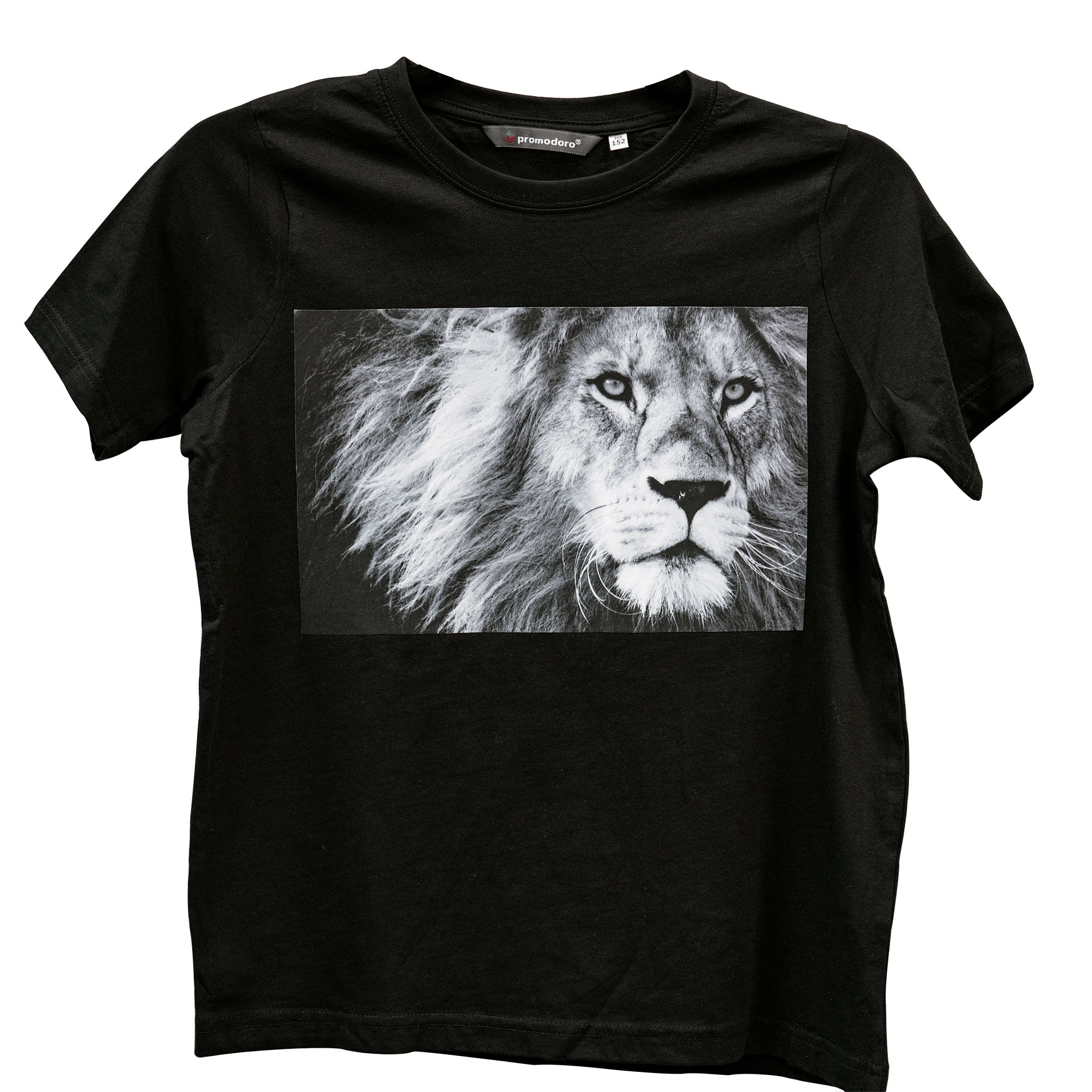 SEF Polyesterflock Fiberplus, div. Abmessungen