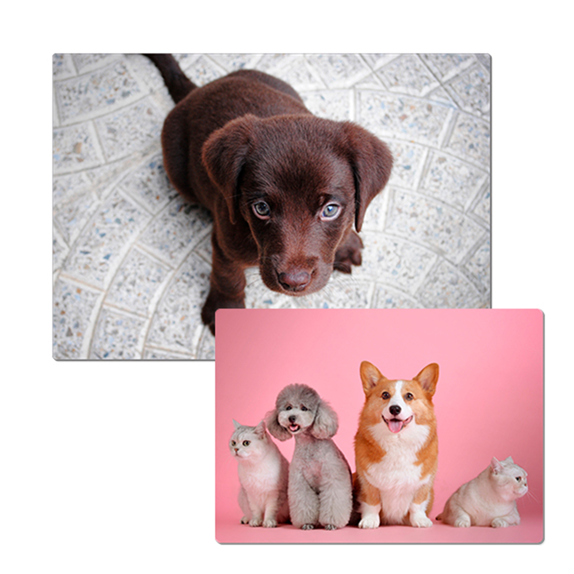 Sublistar® Alu-Fototafel weiß-glänzend, versch. Größen