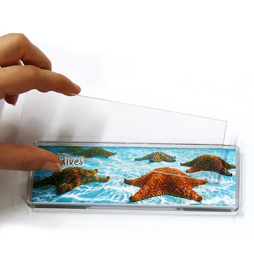 Multiplexx Magnet, versch. Größen