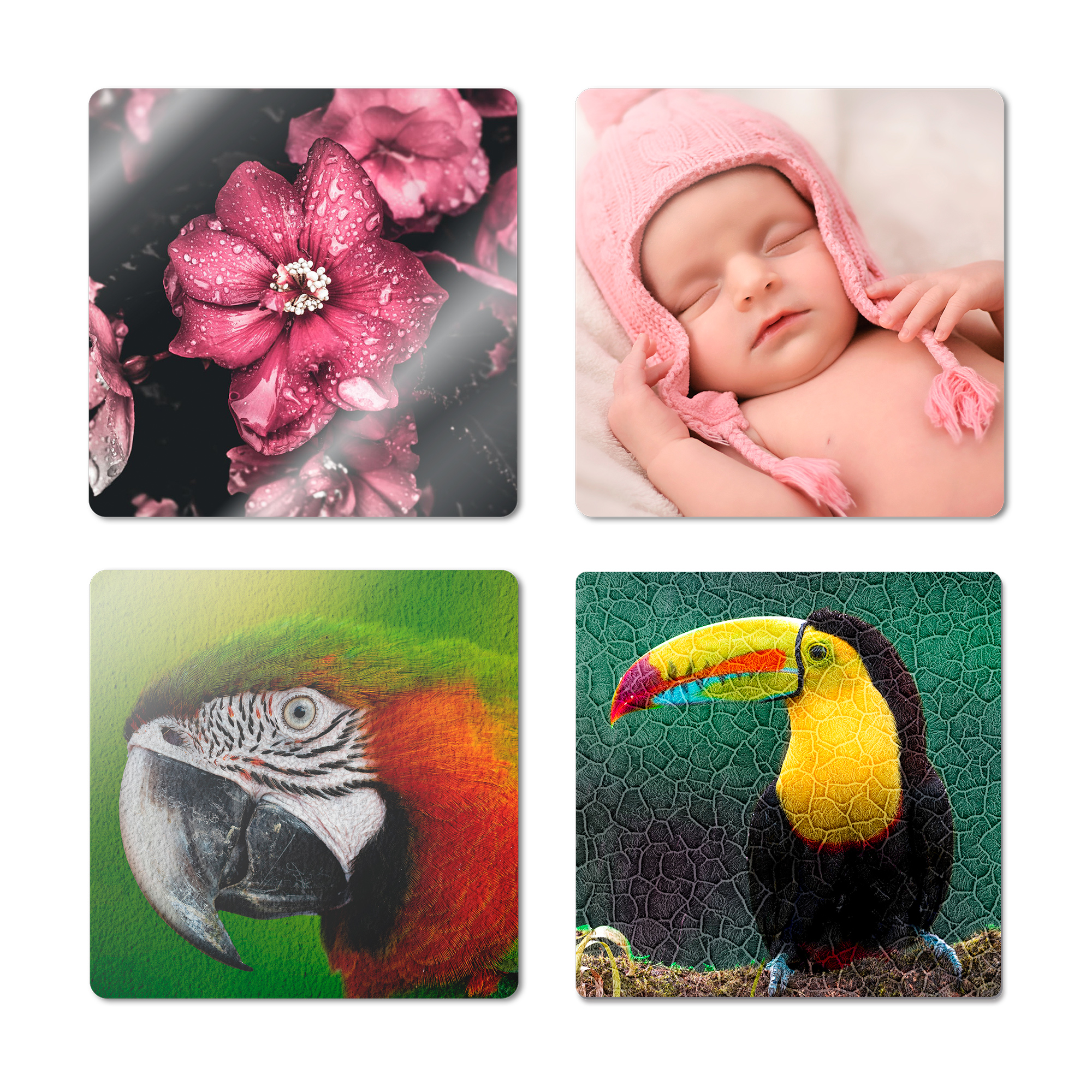 Duraluxe Alu-Fototafel, Musterpack weiß, unbedruckt, beinhaltet je einen Muster-Zuschnitt DL- in 10 x10 cm