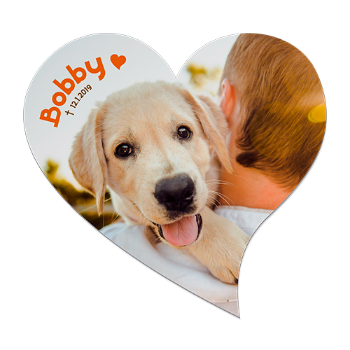 Tableau photo Duraluxe en aluminium blanc mat, diverses tailles