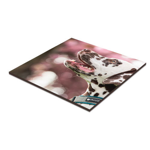 UNISUB Panneau en fibre dure, taille 203 x 203 x 6 mm, couleur blanc brilliant, 26 pcs./carton