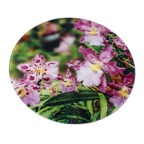 Planche à découpe en verre, diverses tailles