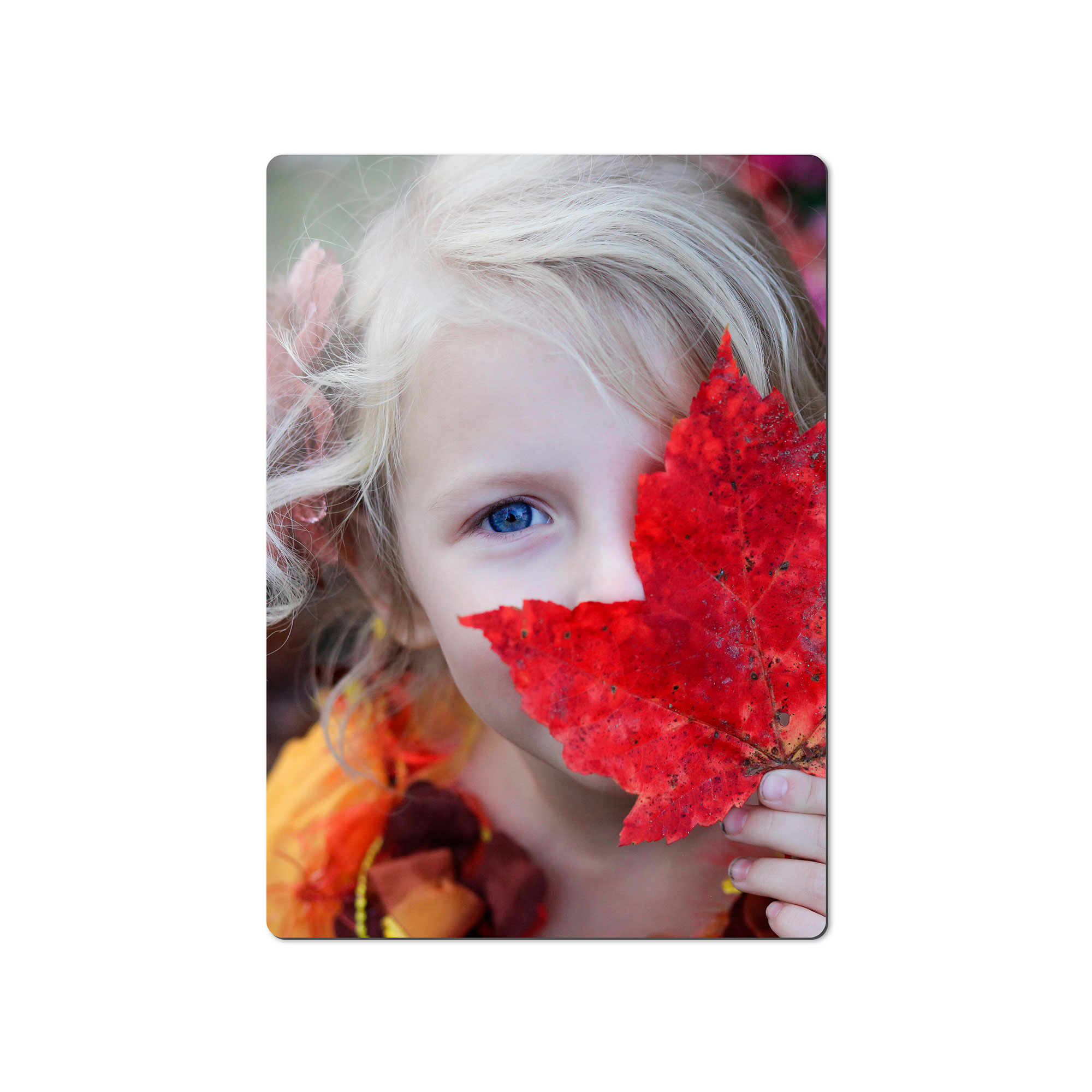 Outdoor aluminium photo panel, matt white, glossy white 