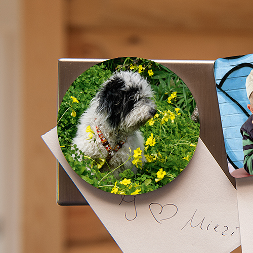 UNISUB Magnet pour réfrigérateur rond Ø 63 mm, épaisseur 2 mm, imprimable recto, blanc brillant, 50 pcs./carton