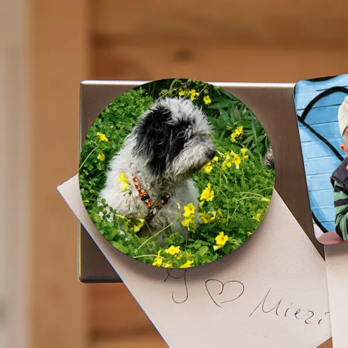 UNISUB Kühlschrankmagnet, rund Ø 63 mm, 2 mm stark, Einseitig bedruckbar, Weiß-glänzend