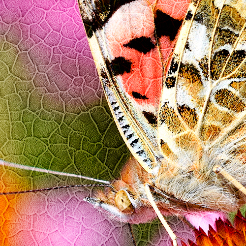 Tableau photo Duraluxe en aluminium avec surface structurée Salt Lake en blanc, diverses tailles