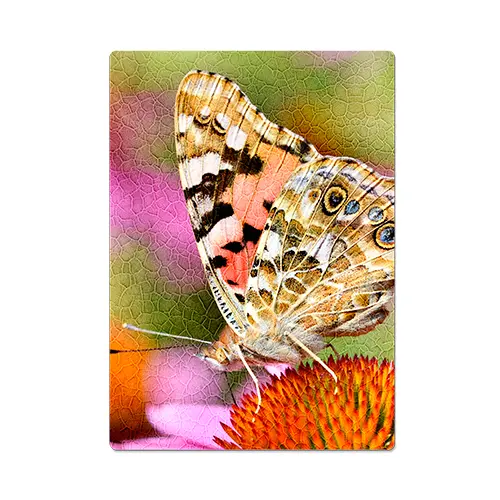 Duraluxe Alu-Fototafel Struktur Salt Lake, weiß, versch. Größen