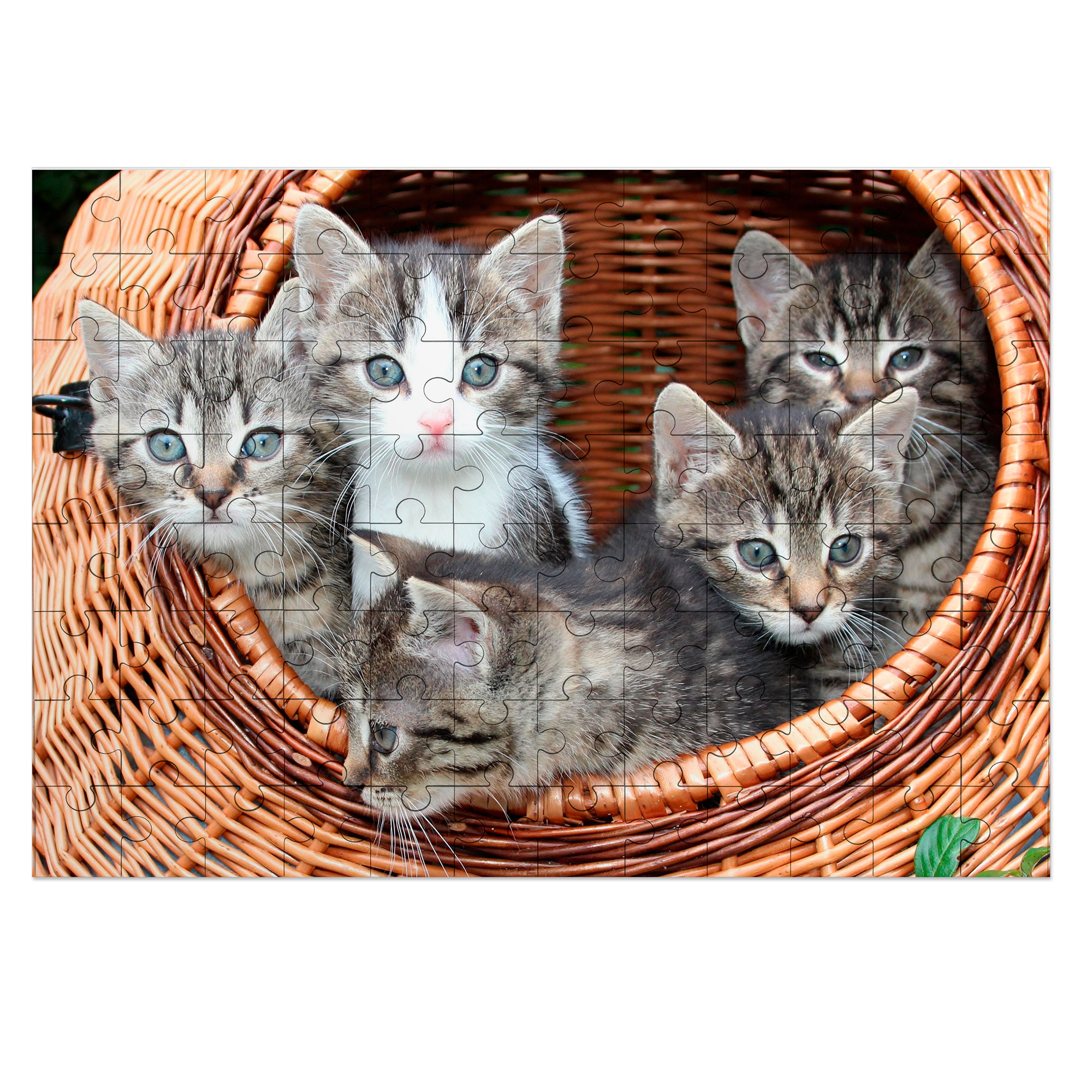 UNISUB Puzzle en bois, diverses versions