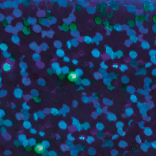 Nova-Flex 1900 Holographic Glossy, diverses couleurs et tailles