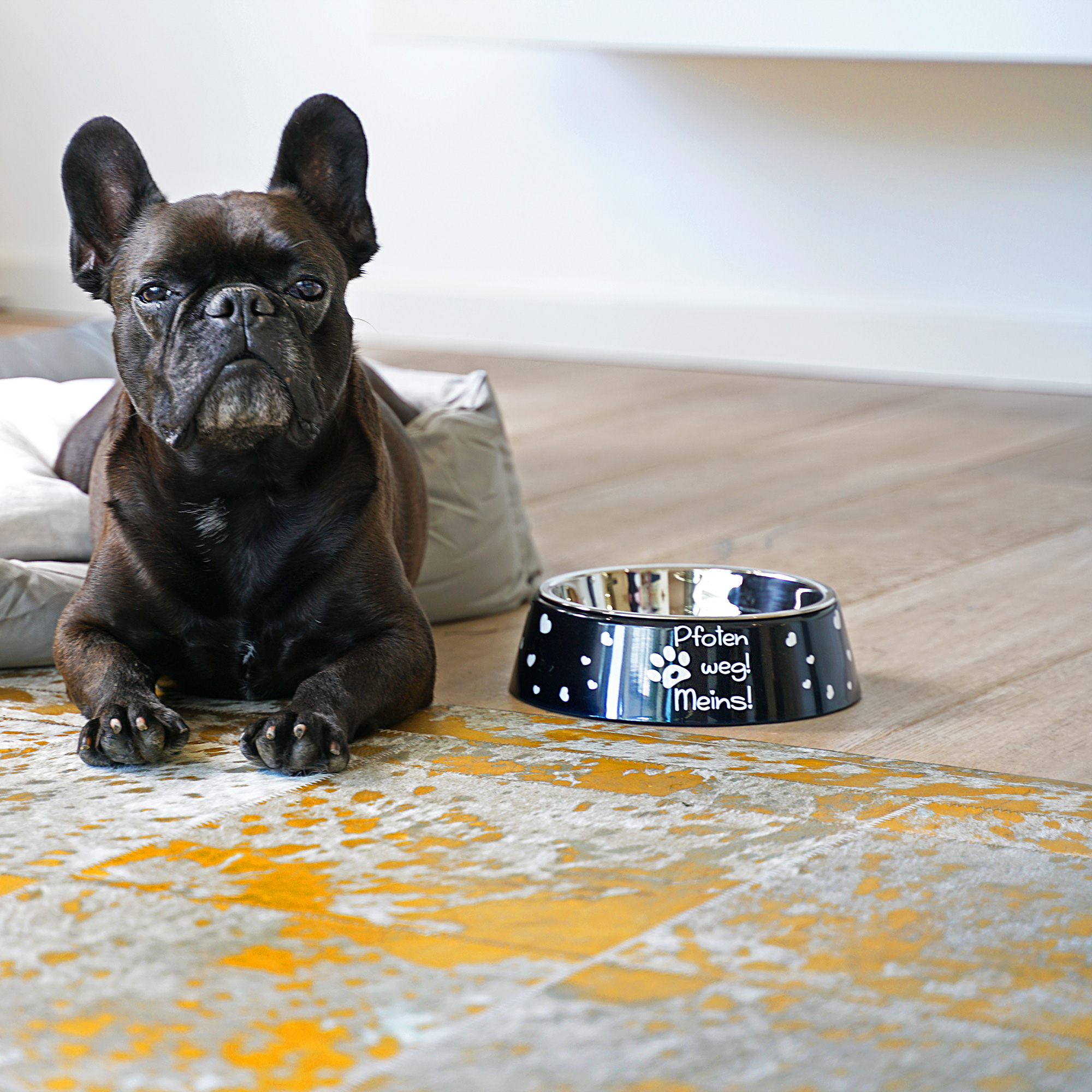 Gamelle pour animaux en plastique polymère avec insert en inox, diveres tailles