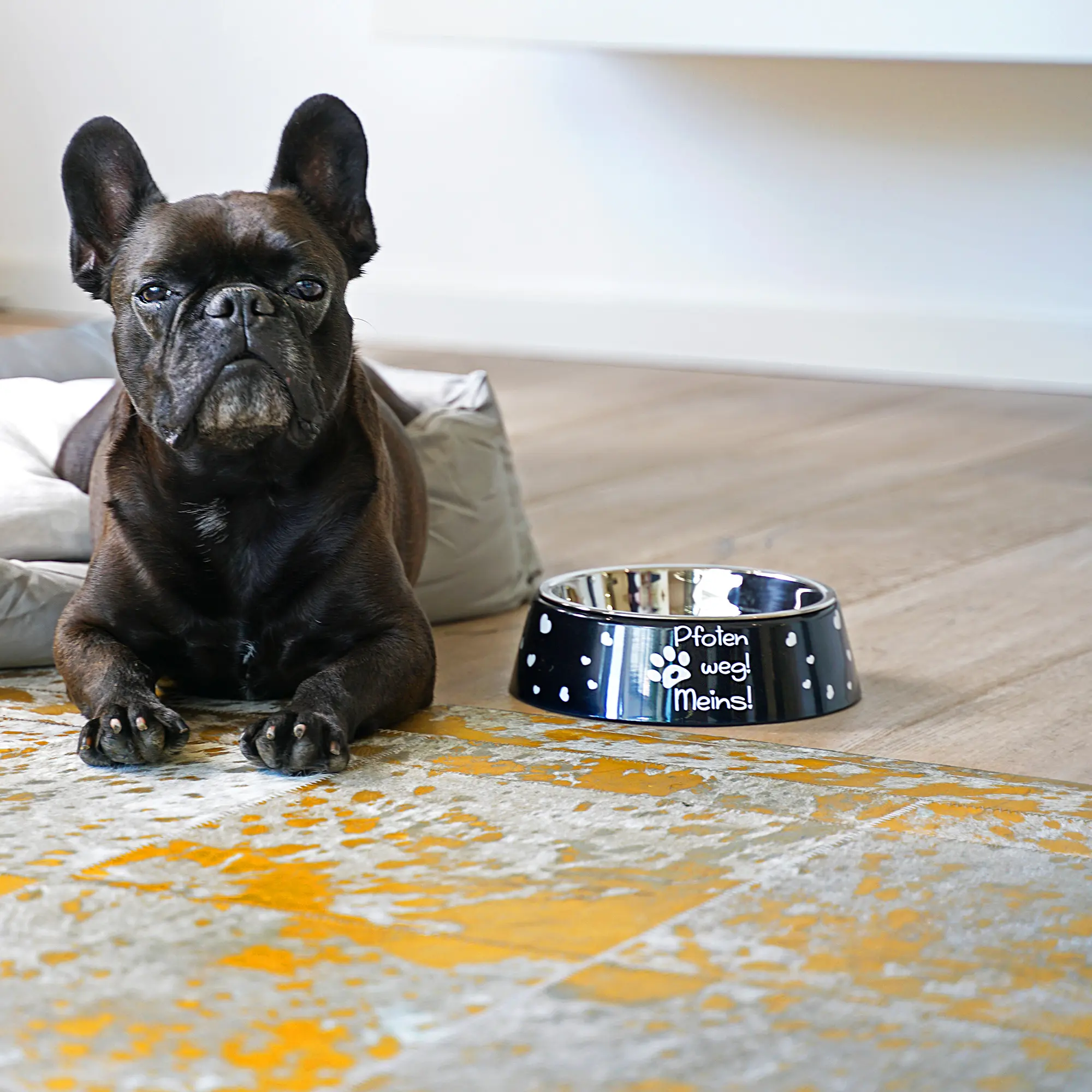 Tiernapf aus Polymer-Kunststoff mit Edelstahleinsatz, versch. Größen