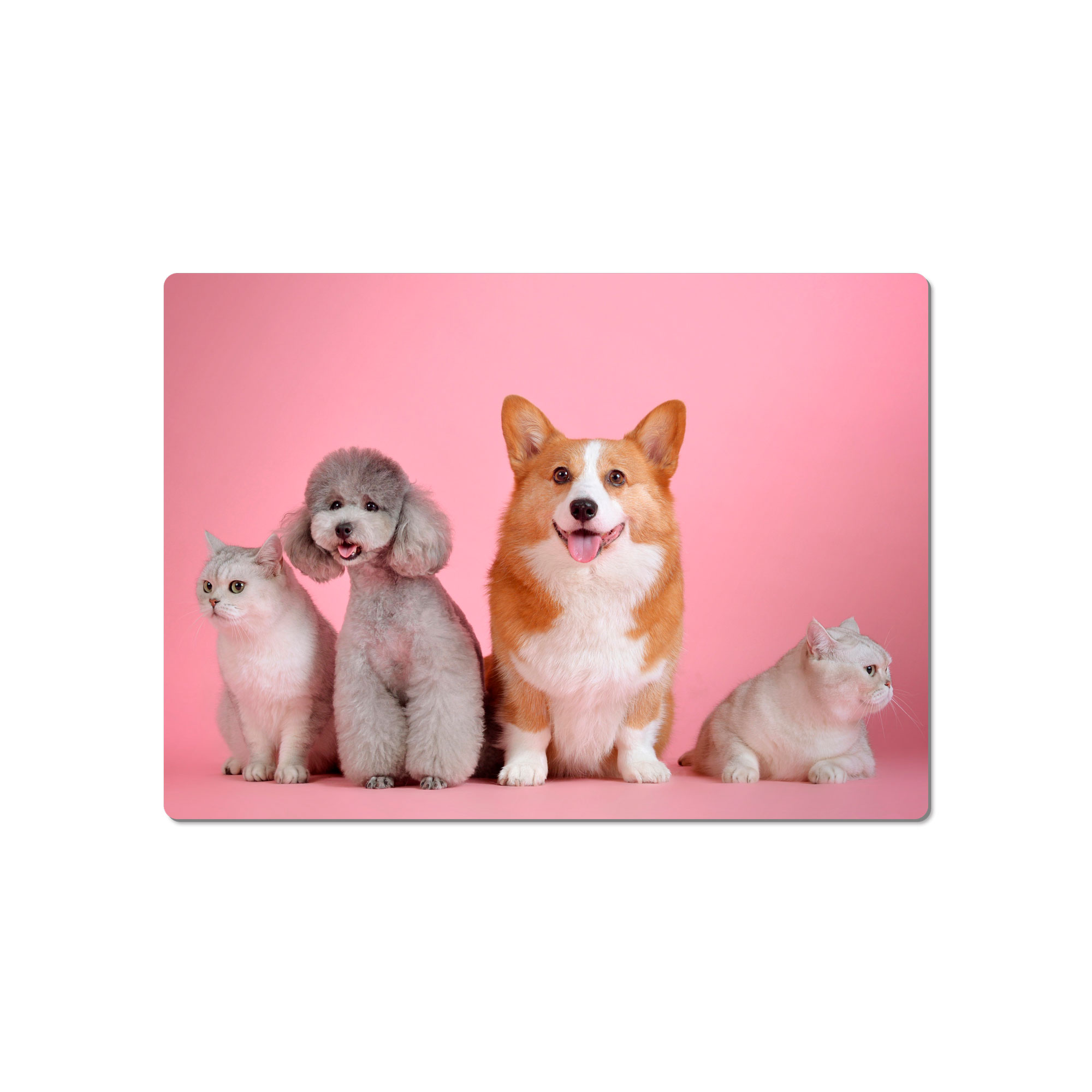 Sublistar® tableau photo en aluminium blanc brillant, diverses tailles